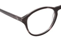 CO Optical Atkinson GRY Dark Grey Transparent -Modebrillen 6527286 f