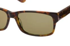 Aspect By Mister Spex Will 2003 003 Havana -Modebrillen 6702512 f