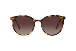Mister Spex Collection Boh 2105 R31 Colored Havana / Gold -Modebrillen 6827836 d
