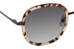 CO Optical Farmiga 2129 R12 White Tortoise / Black -Modebrillen 6844636 f