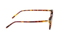 Linda Farrow Arnold LF 63 C2 T-SHELL -Modebrillen 6858470 b