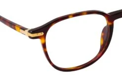 Linda Farrow Arnold LF 63 C2 T-SHELL -Modebrillen 6858470 f