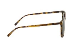Mister Spex Collection Addyson 2500 R23 Havana 7 Mister Spex Collection Addyson 2500 R23 Havana -Modebrillen 6859569 b