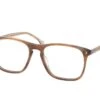 Lozza VL 4332 0VBQ TRASP.STRIPED BROWN -Modebrillen 7816564 a