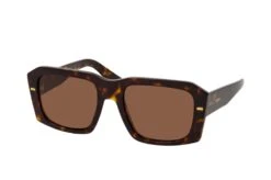Dolce & Gabbana Dolce&Gabbana DG 4430 502/73 HAVANA