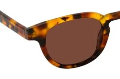 Michalsky For Mister Spex Acclaim 2008 R22 Bold Havana -Modebrillen 7989258 f